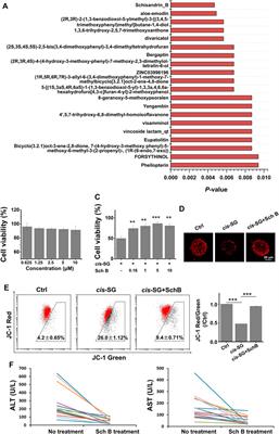 Hepatic Organoid-Based High-Content Imaging Boosts Evaluation of Stereoisomerism-Dependent Hepatotoxicity of Stilbenes in Herbal Medicines